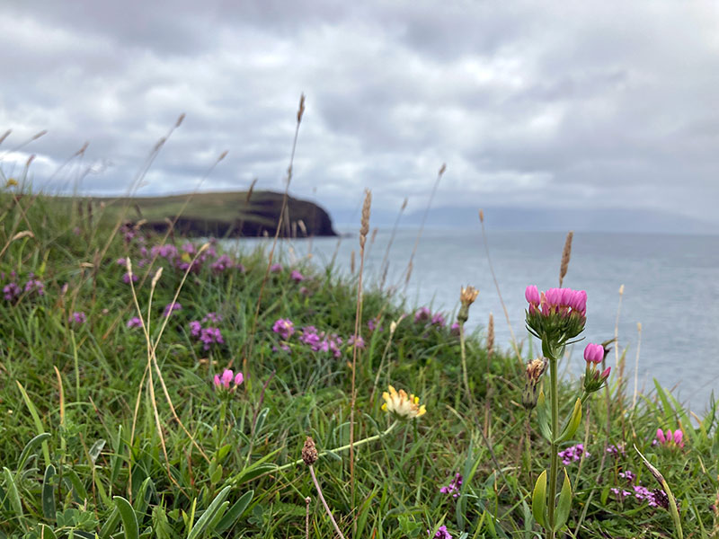 Psychotherapie Berlin - Kosten